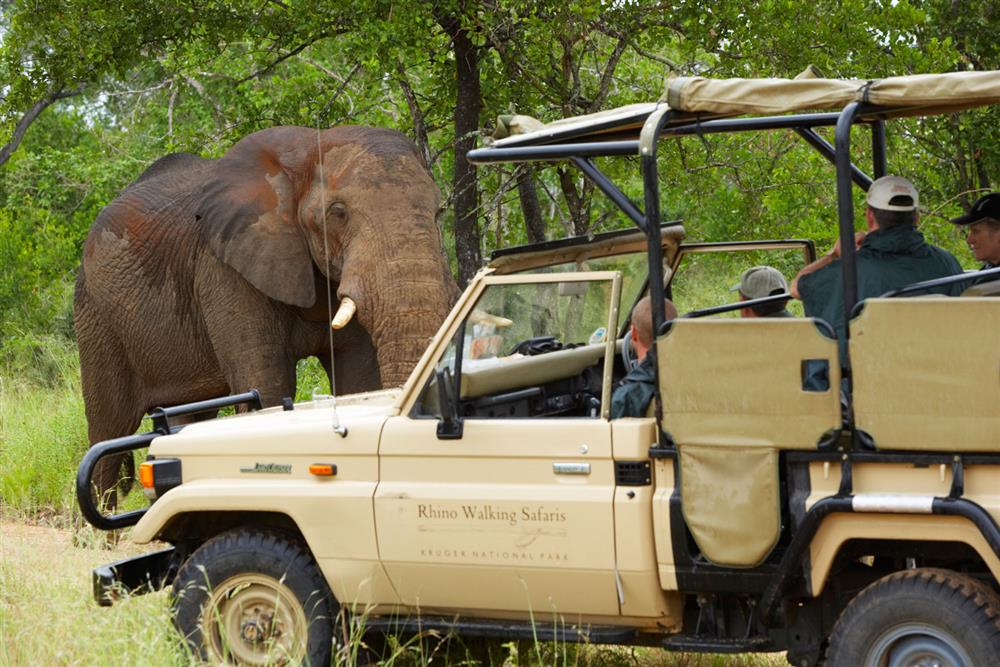 Rhino Post Walking Safaris